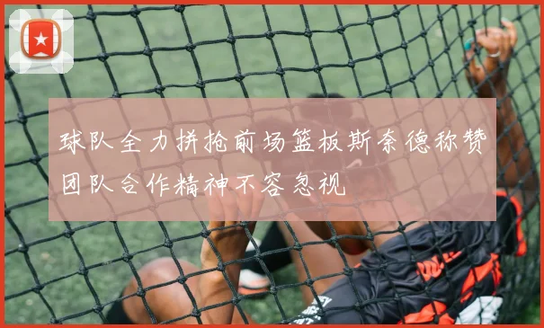 球队全力拼抢前场篮板斯奈德称赞团队合作精神不容忽视